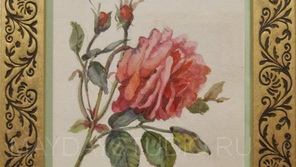 Акварельная роза